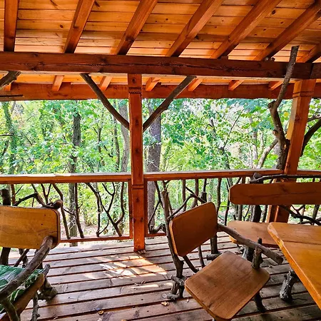 Alen Mak Forest Hotel 2*