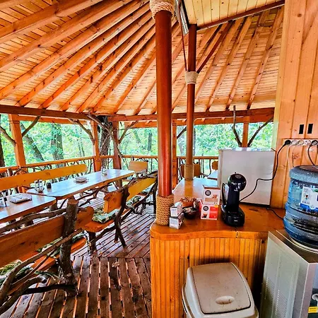 Hotel Alen Mak Forest 2*