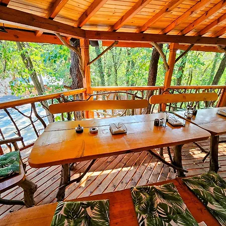 Alen Mak Forest Hotel 2*