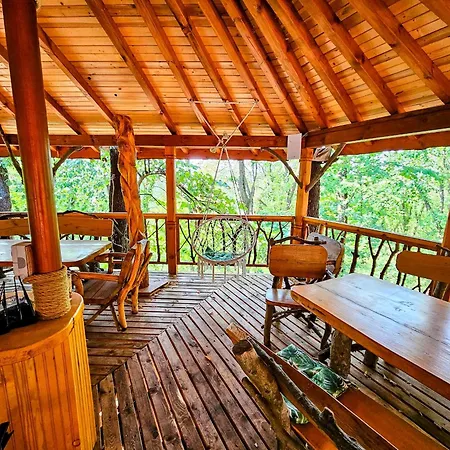 Alen Mak Forest Lipnik