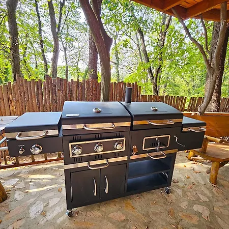 Hotel Alen Mak Forest Lipnik