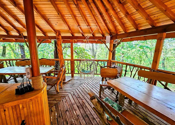 Alen Mak Forest Lipnik